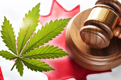 Marijuana Law in Canada | Toronto Immigration Lawyer | Long Mangalji LLP